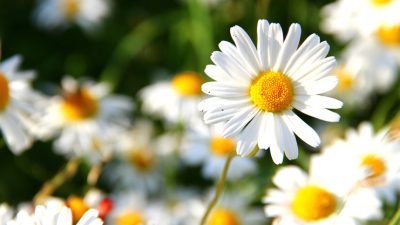 Helping a Friend in Grief