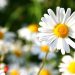 Helping a Friend in Grief