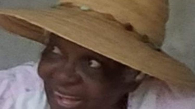 Sefnah Buddle